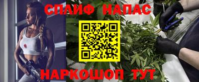 МДПВ Славгород