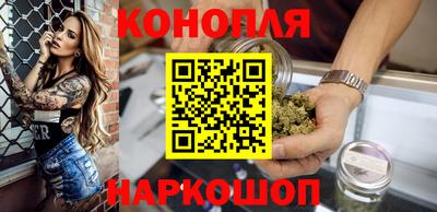 МДПВ Славгород