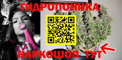 МДПВ Славгород