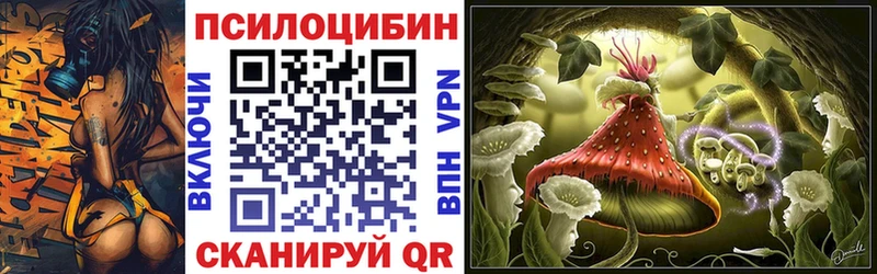Галлюциногенные грибы Psilocybe  Пермь 