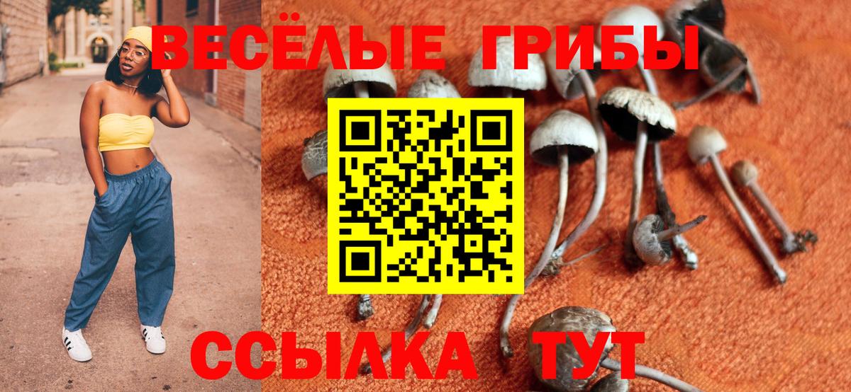 Галлюциногенные грибы Cubensis  Галлюциногенные грибы Cubensis  Пермь  Вход с VPN 
